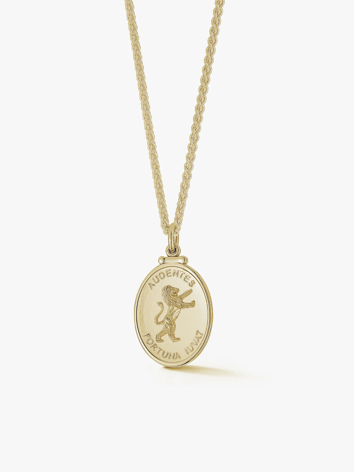 Lion Medallion in Gold - Image 3
