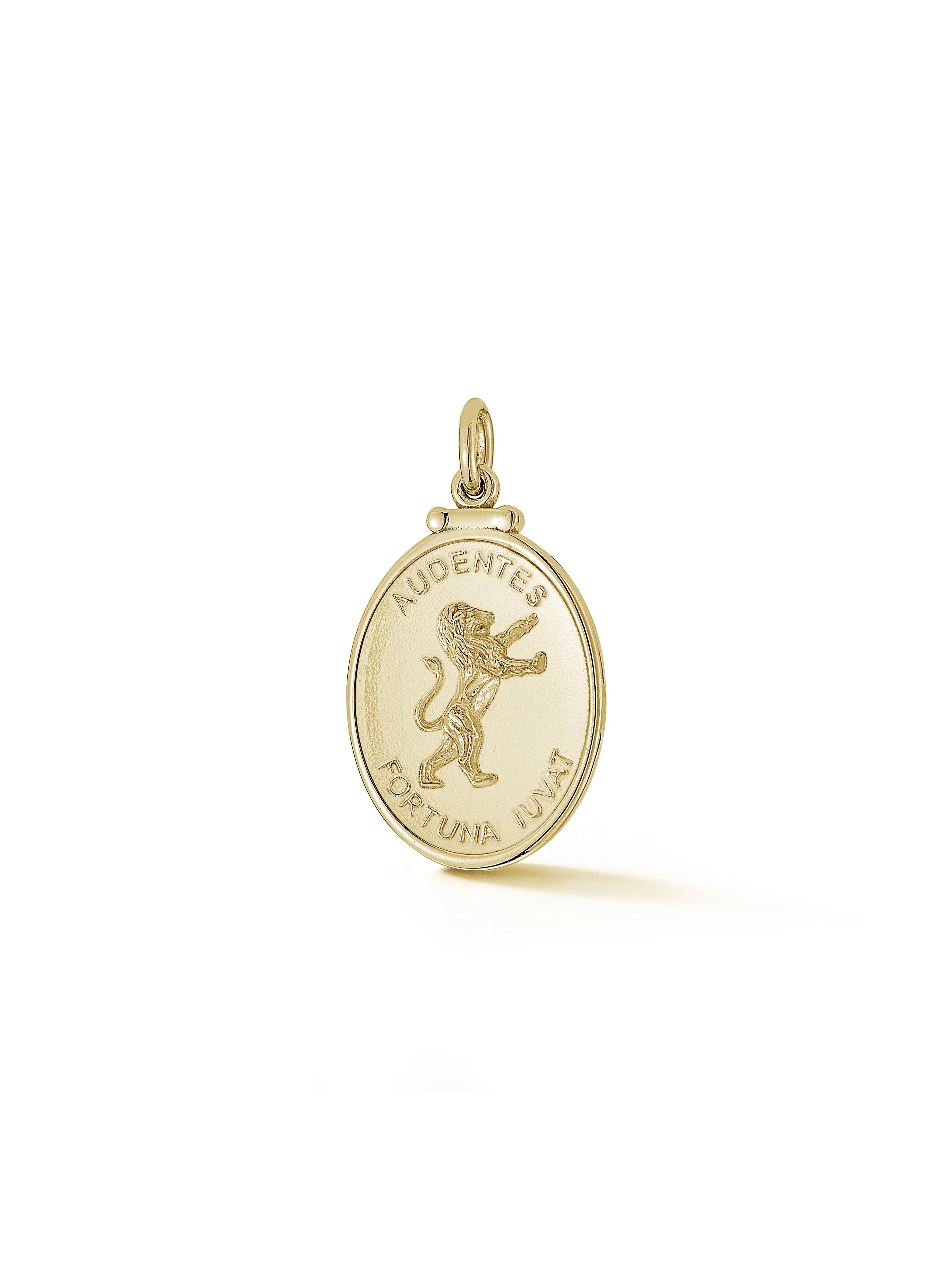 Lion Medallion in Gold - Image 4