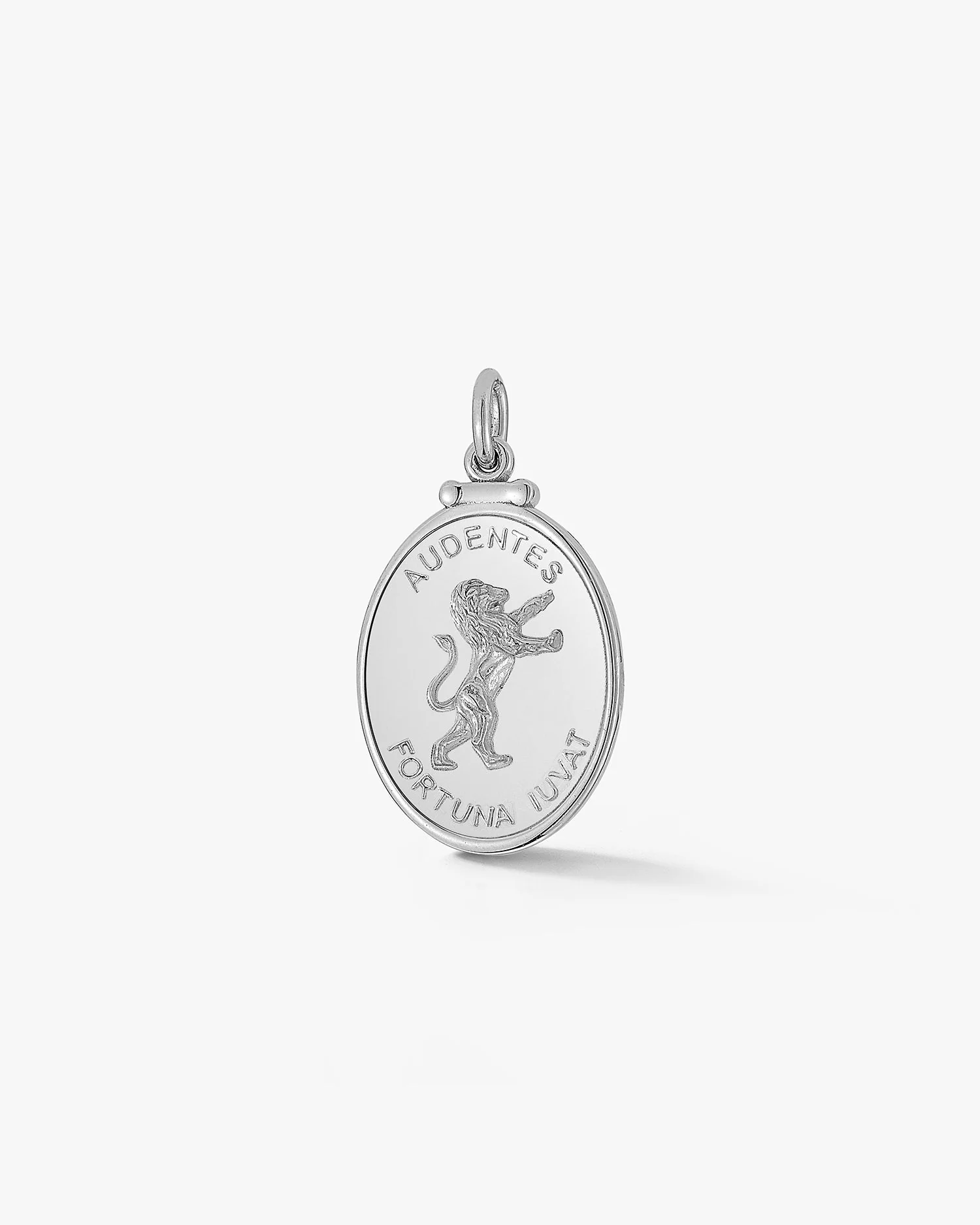 Silver Lion Medallion - Image 3