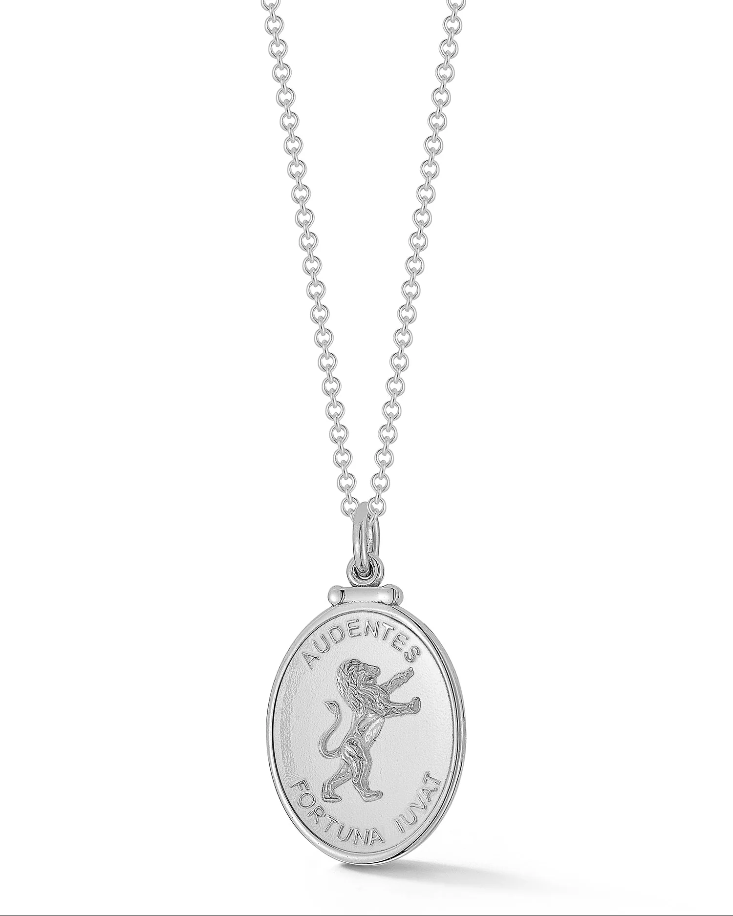 Silver Lion Medallion - Image 4