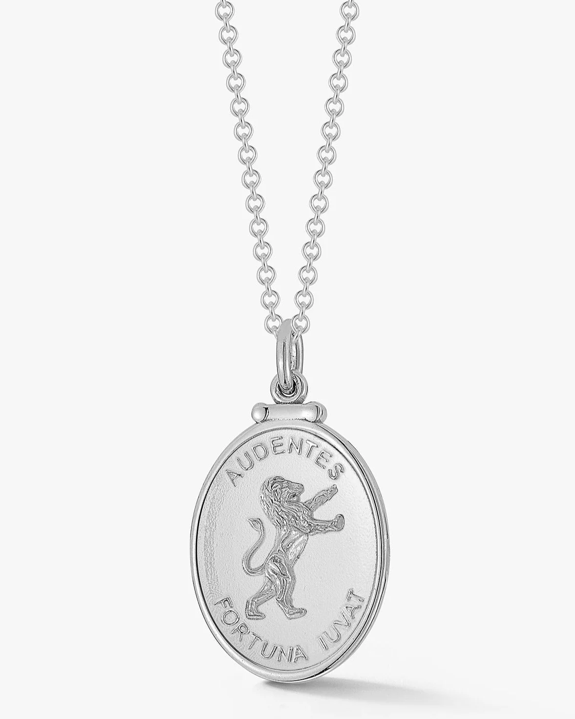 Silver Lion Medallion - Image 5