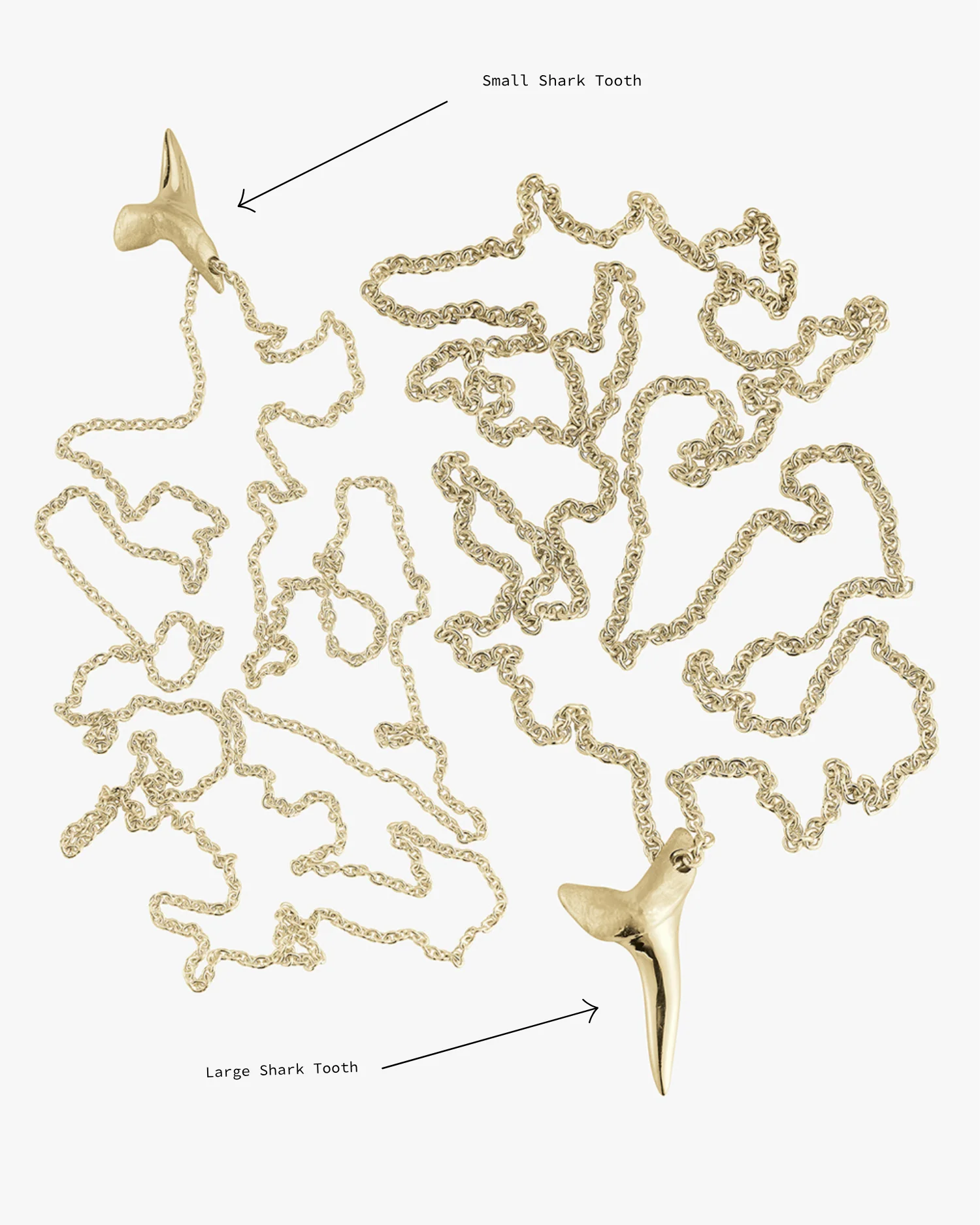 Small Gold Shark Tooth - Image 5