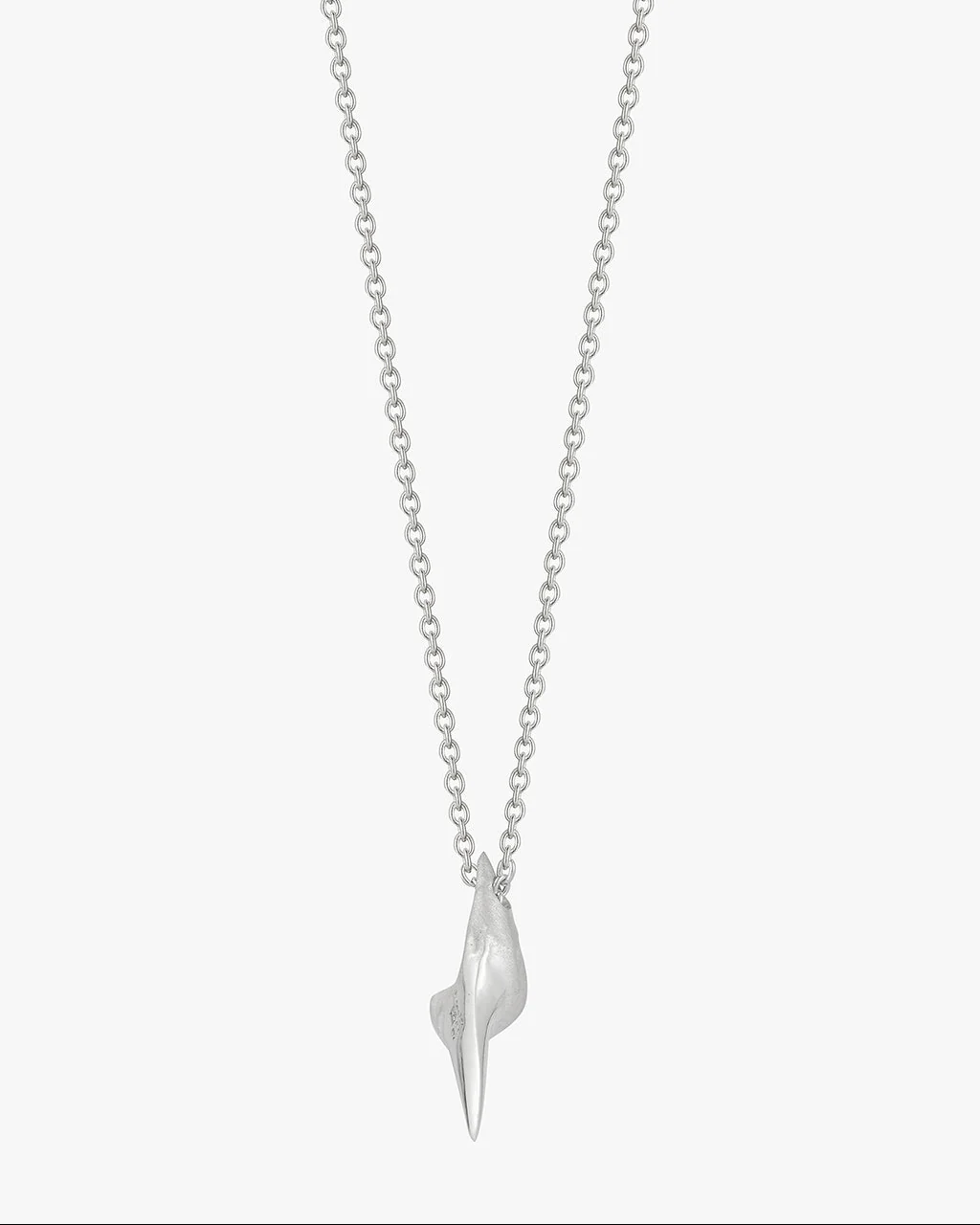 Small Shark Tooth - Image 3